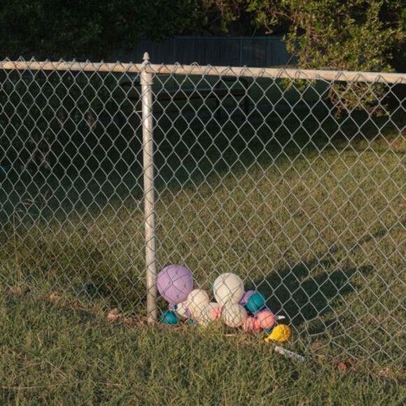 Bummer Year - Picture 1 of 1